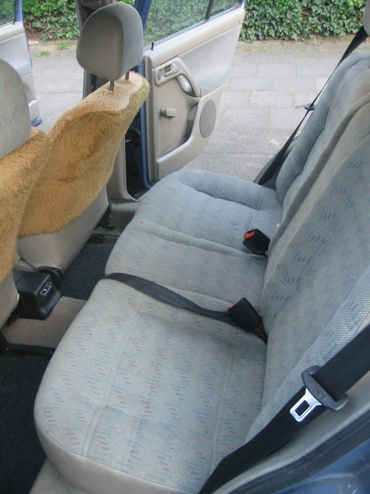 backseats2